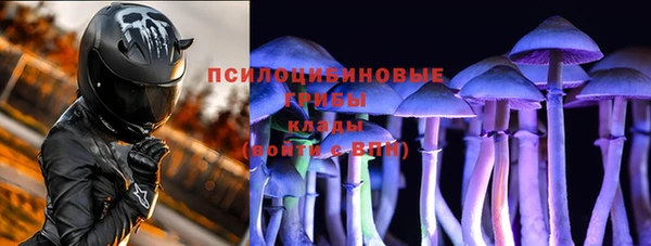 a pvp Арсеньев