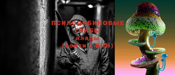 соль ск Армянск