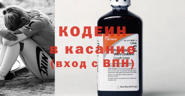 прущие грибы Семилуки