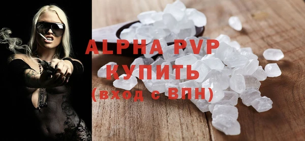 прущие грибы Семилуки