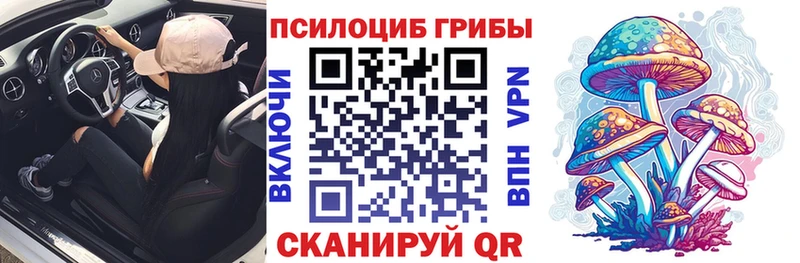 Галлюциногенные грибы Psilocybine cubensis  Николаевск 